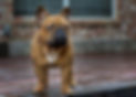 _DSC3759-Edit-Edit.jpg