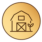 Design ohne Titel (2)_edited.png