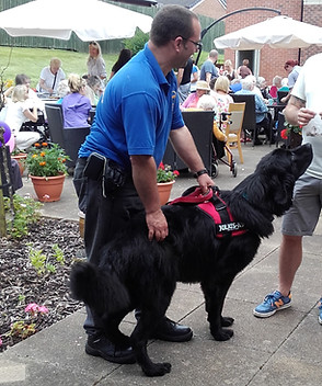 Scamps demonstration at a fun day event