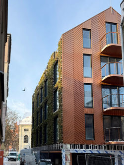 Mediniai langai išskirtinių butų ir komercinių patalpų projekteKlaipėdos senamiestyje