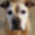 17874103445679721.webp
