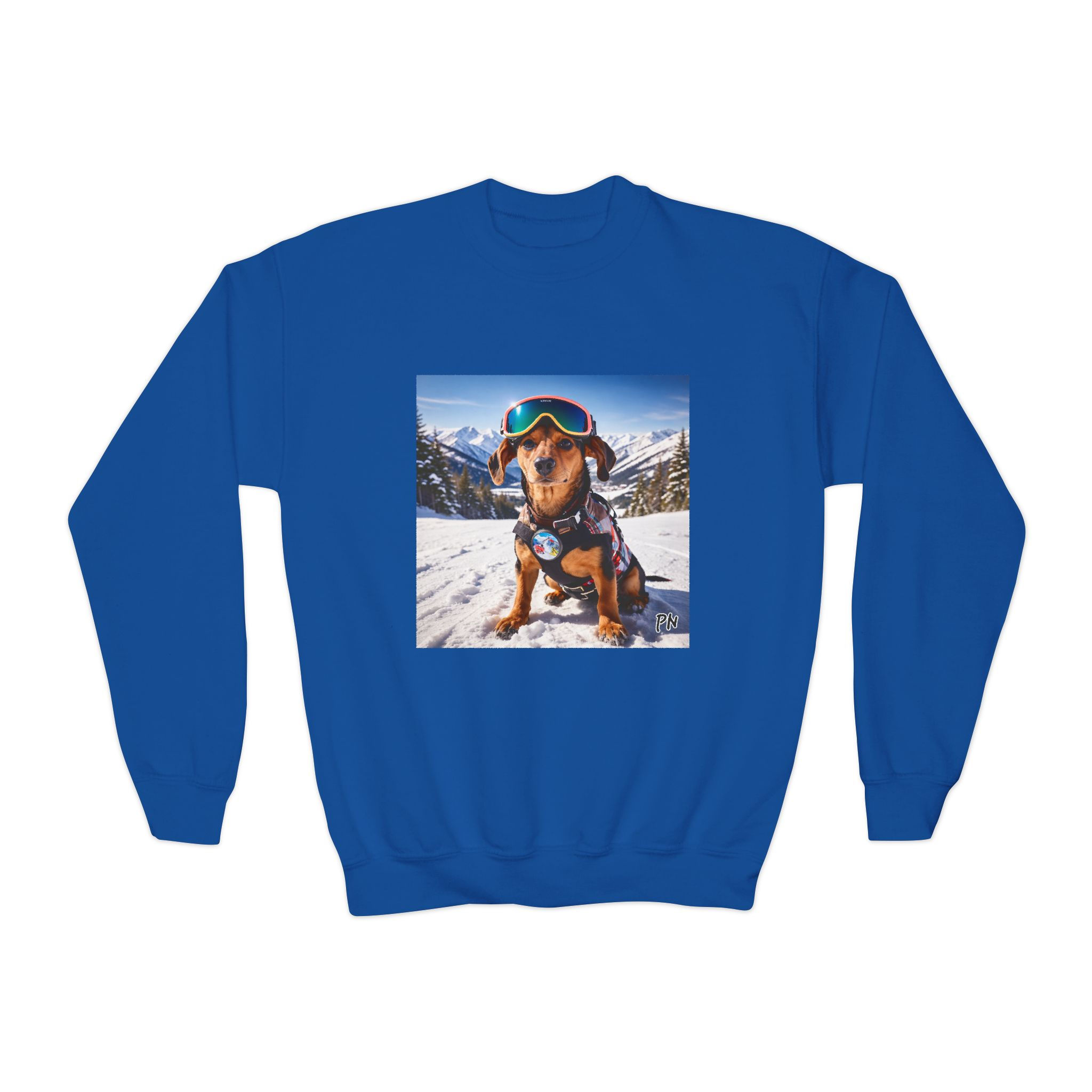 Youth Graphic Sweatshirt - Powder Pup