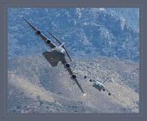 Lumbering Through The Canyon_PJ.jpg