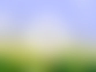 Tamara Jenček, Dandelion light / PREHOD#1