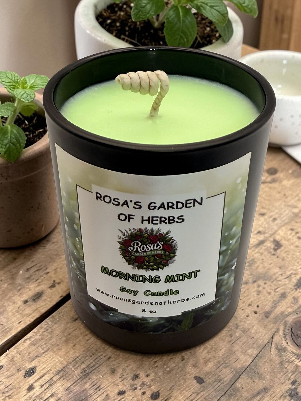 Miniatura: Morning Mint 8oz luxury candle by Rosa’s Garden of Herbs with a fresh, clean mint-inspired scent