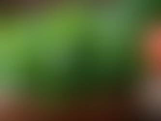 Enhance Your Wellness with Organic Herbs for Wellness