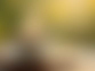 Exploring the Therapeutic Benefits of Teas: The Healing Power of Herbal Teas