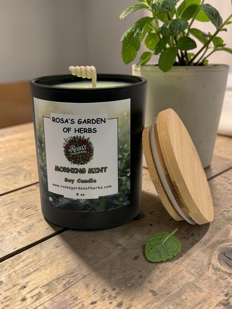 Miniatura: Morning Mint 8oz luxury candle by Rosa’s Garden of Herbs with a fresh, clean mint-inspired scent