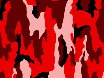 Is the U.S. Military Socialist? Reflections on the Social vs. Individual 