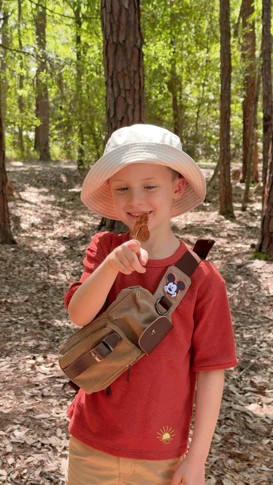 GMP_U2F2ZUdIMDE= 16.GIF