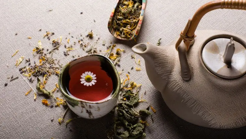 Reforçando a imunidade com chás orgânicos