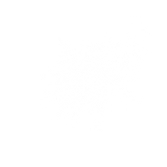 Dizajn bez názvu-3_edited.png