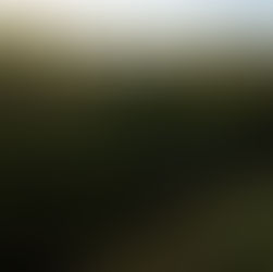 Entendendo o impacto ambiental da agricultura orgânica