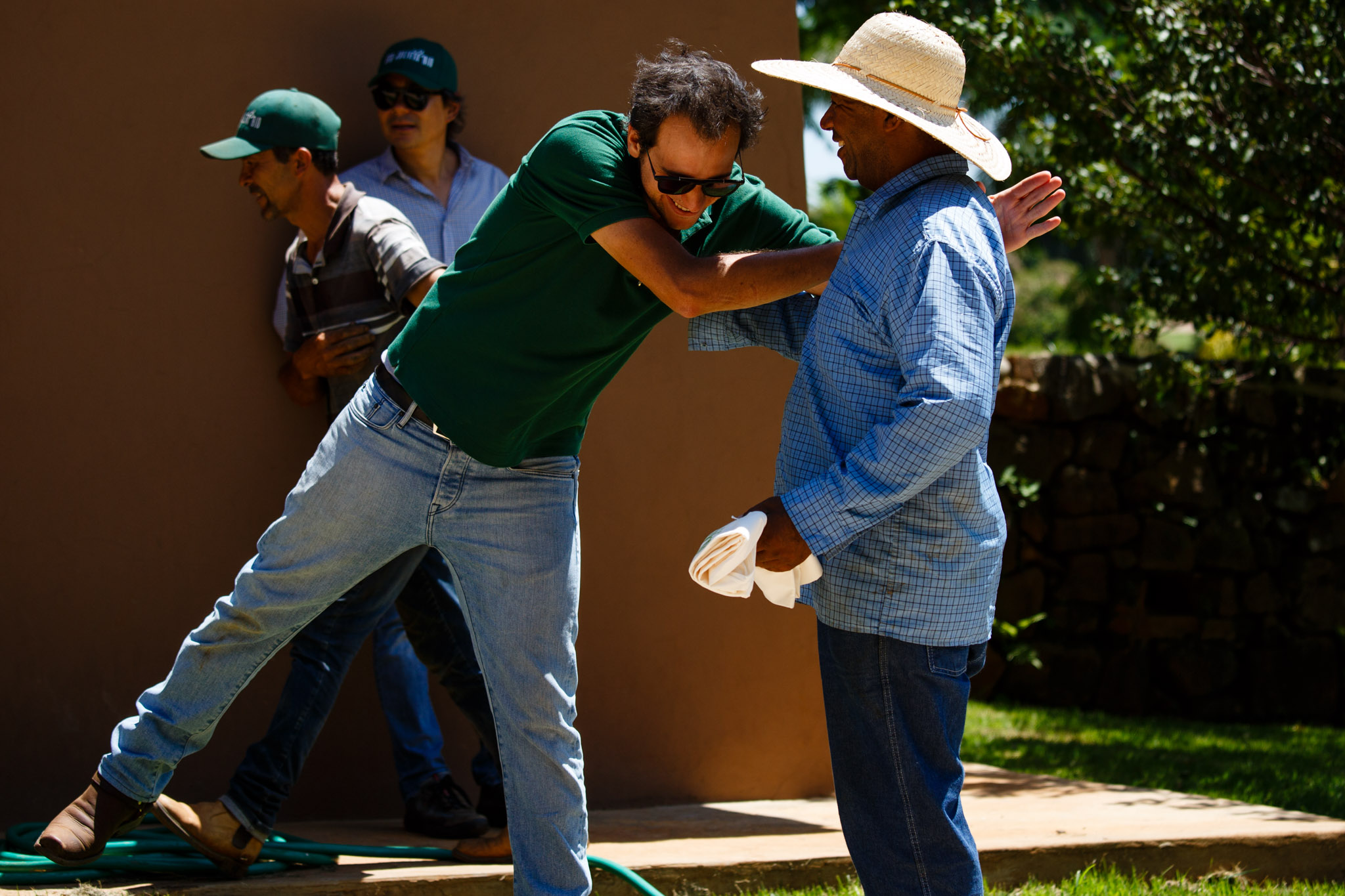 fim de colheita