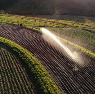 Como reduzir a pegada ambiental e promover a sustentabilidade por meio do CSA