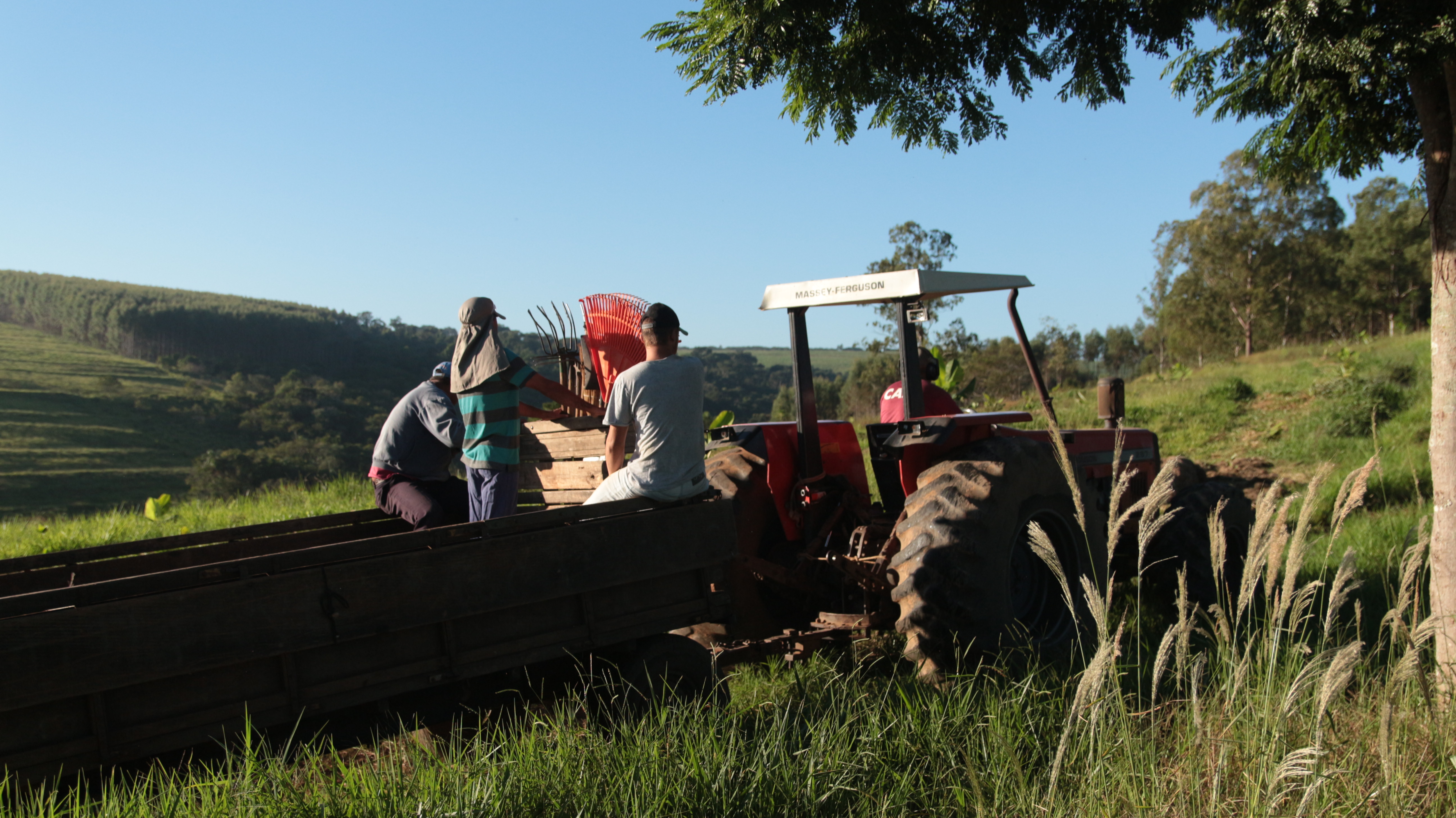 equipe da agrofloresta