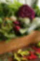 sta julieta bio cesta organicos
