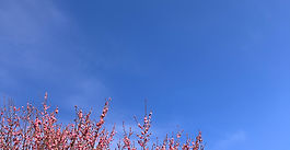 〜聖書「重要聖句」講解＜111＞〜