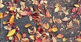 〜聖書「重要聖句」講解＜104＞〜