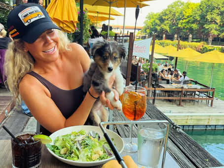 stevie beans, blue merle mini aussie out for pizza with his family