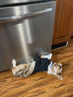 Ahhhhhhhh