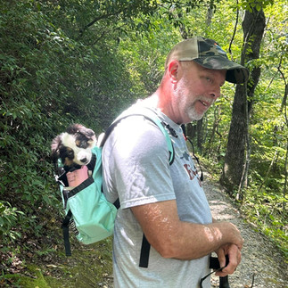 trail hiking with toy aussie