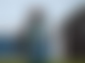 Spring Aussie Adventure Bucket List: Easy “Just Show Up” Sports for You + Your Aussie