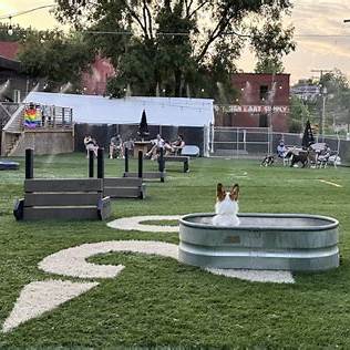 Taps & Tails Ohio Dog Park Indoors
