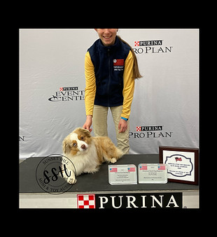 Tiny standing with his awards at Purina