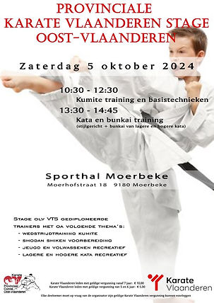 Provinciale Karate Vlaanderen stage - 2024 - Affiche.jpg