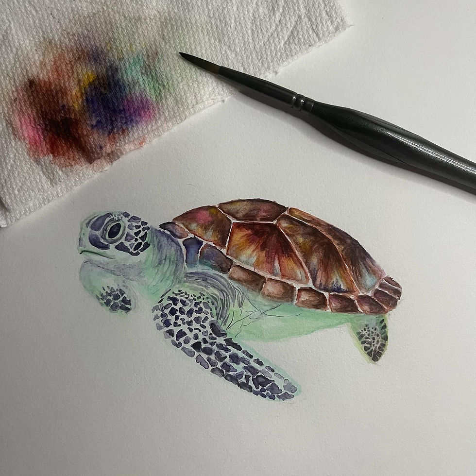 Watercolor Turtle