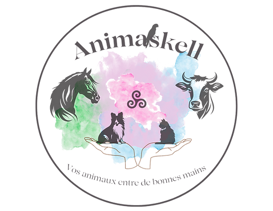 Design sans titre (1)_edited_edited.png