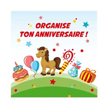 anniversaire-poney3.jpg