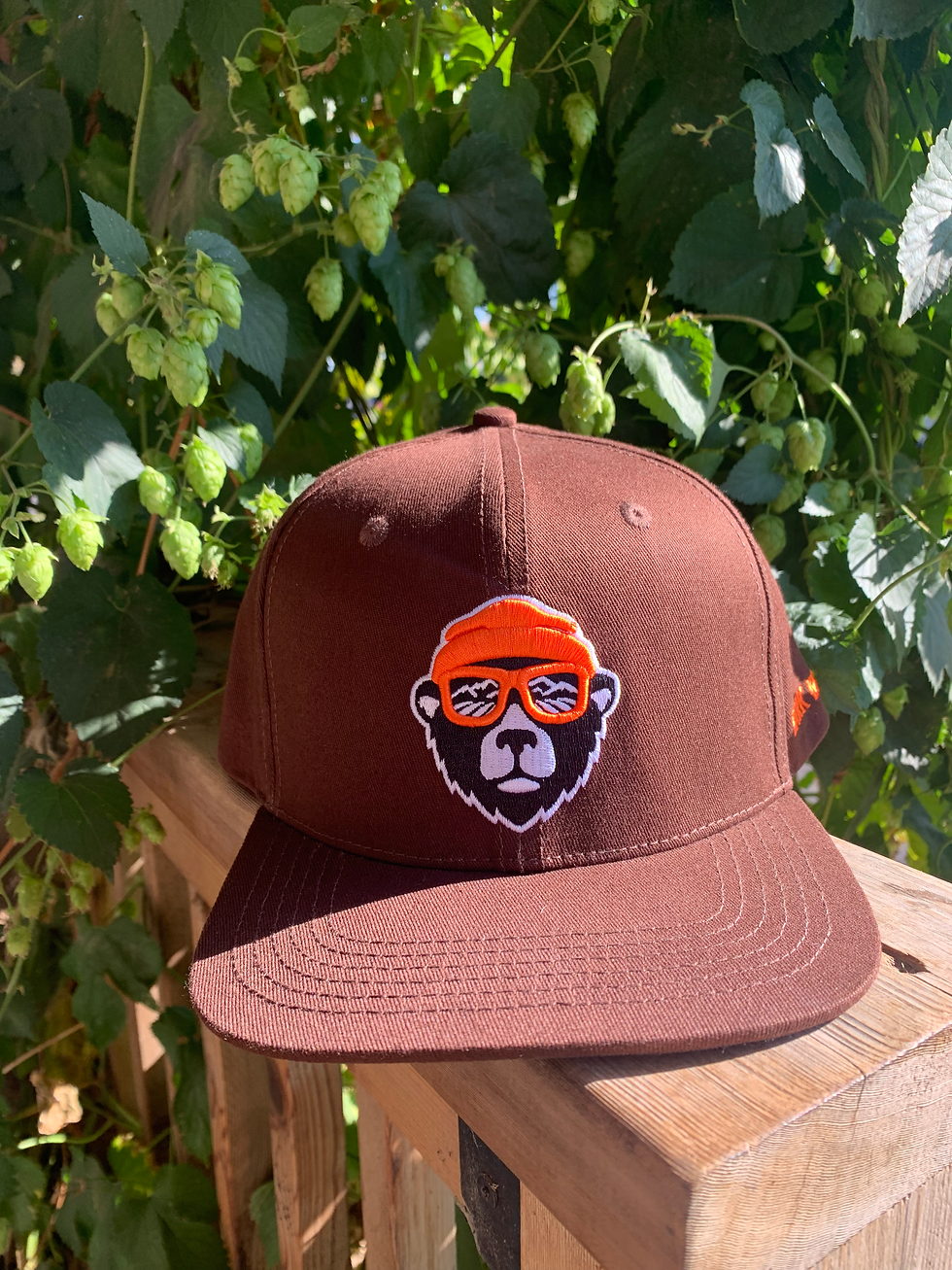 Thumbnail: Brown Berkley Snapback