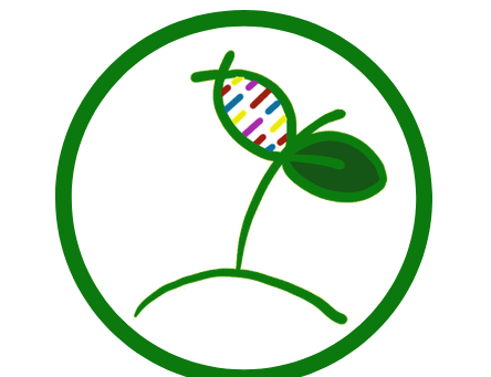 Quality Quirks (pt 2)