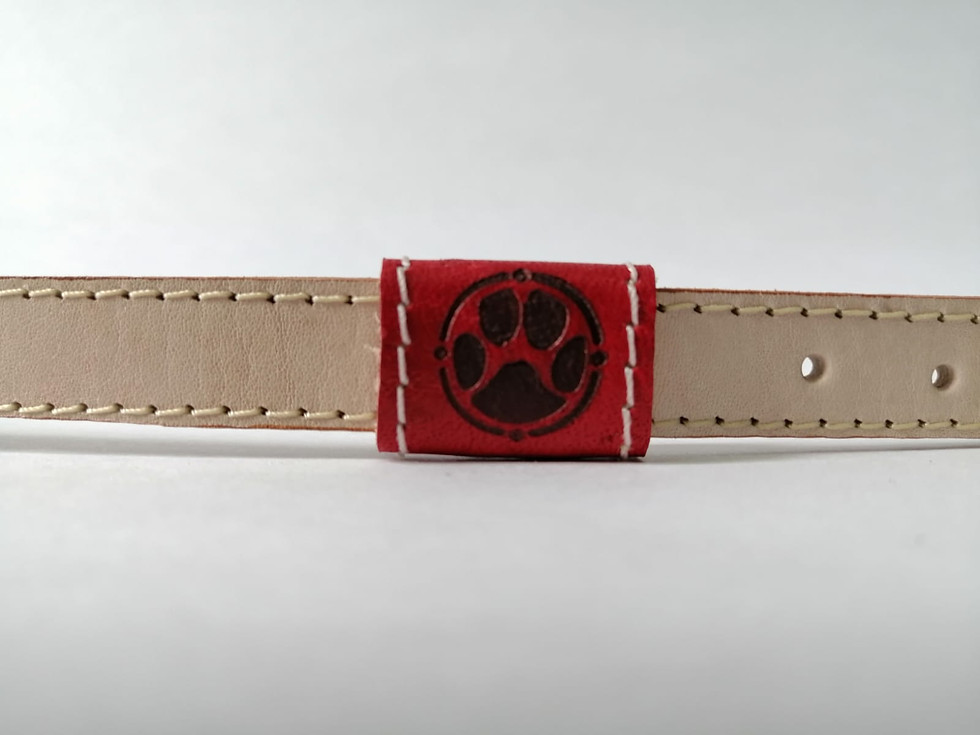 Miniatura: Collar porta placa natural