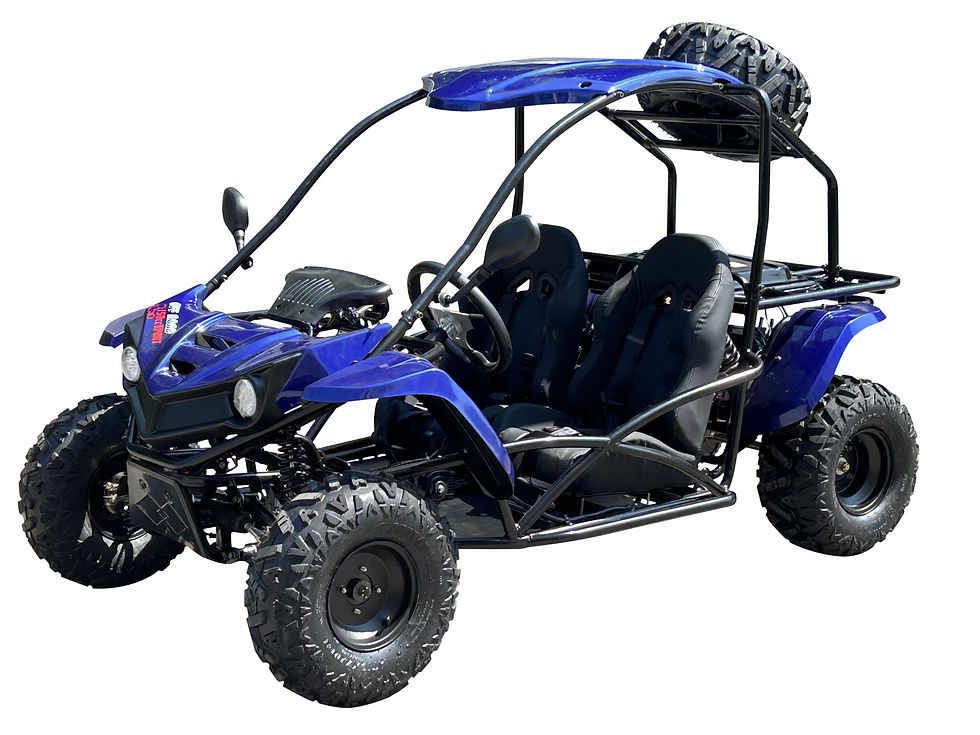 Thumbnail: T-REX 150CC