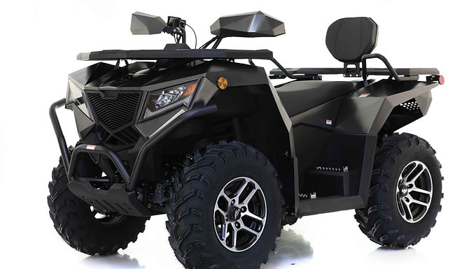 CYBER ROAMER 300 EFI