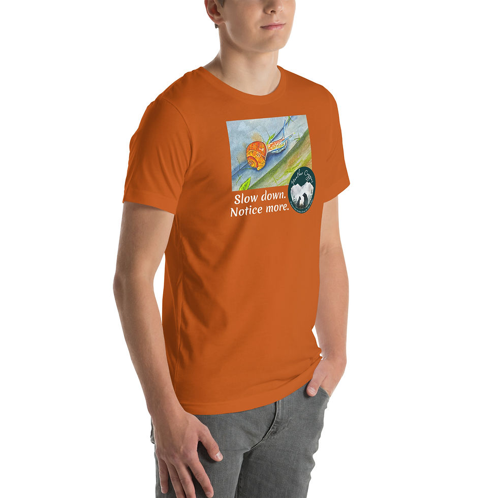 Thumbnail: Unisex t-shirt: Slow down