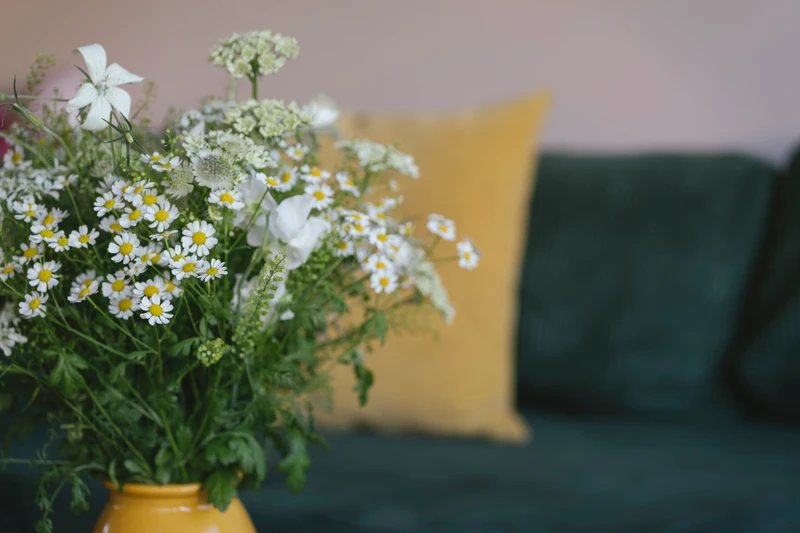 In the background a dark green sofa with a yellow pillow, in the front a bouquet of wild flowers