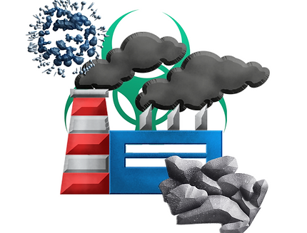 environmental toxins
