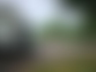 From Chaos to Cleanliness: Transforming Business Spaces with Reliable Commercial Garbage Bin Rentals