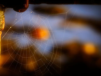extremely thin spider web, as a metaphor for ultrathin coatings