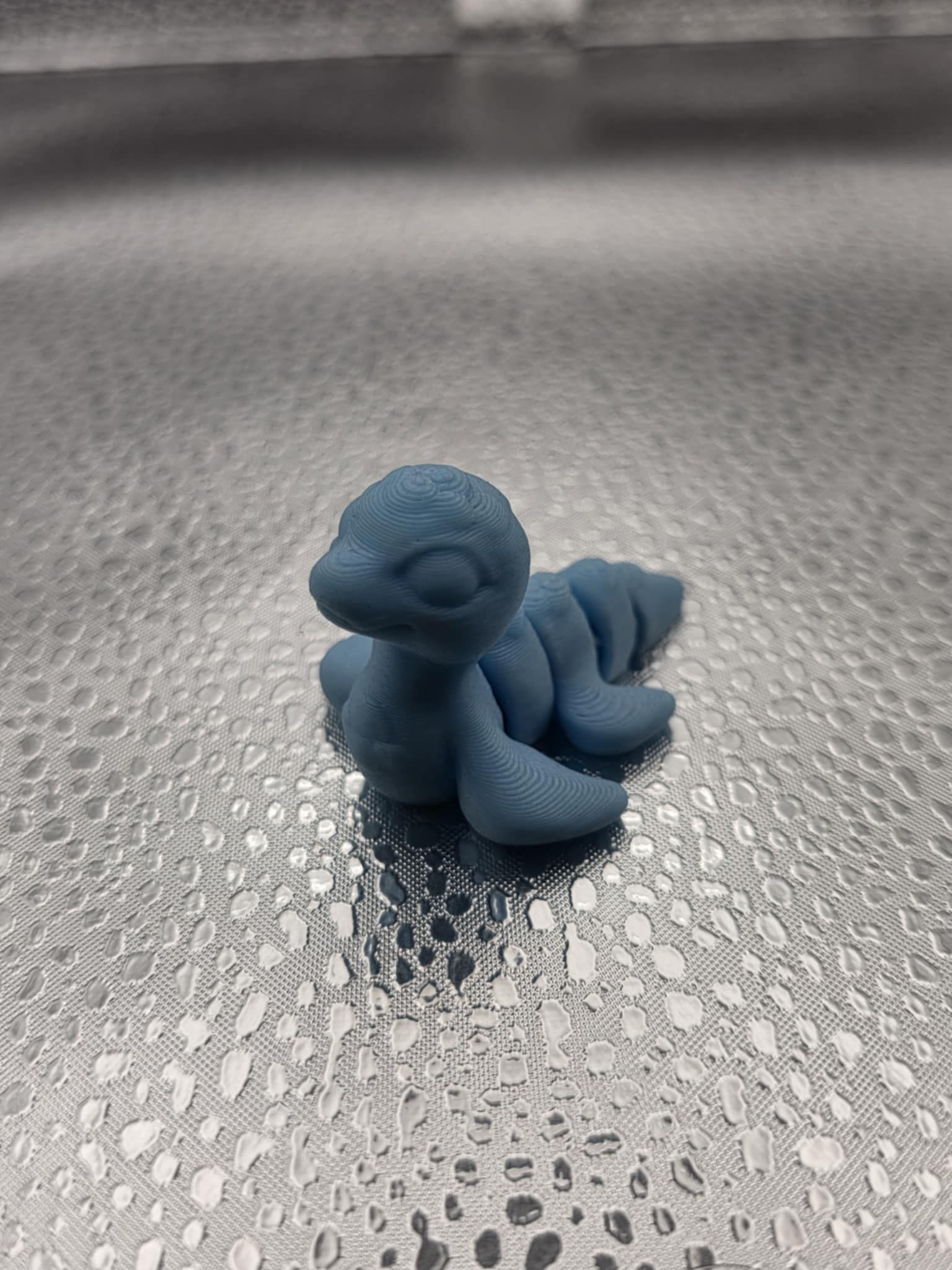 Cinderwing Hatchling - Lochness Scales