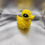 Thumbnail: Cinderwing Tiny Duck