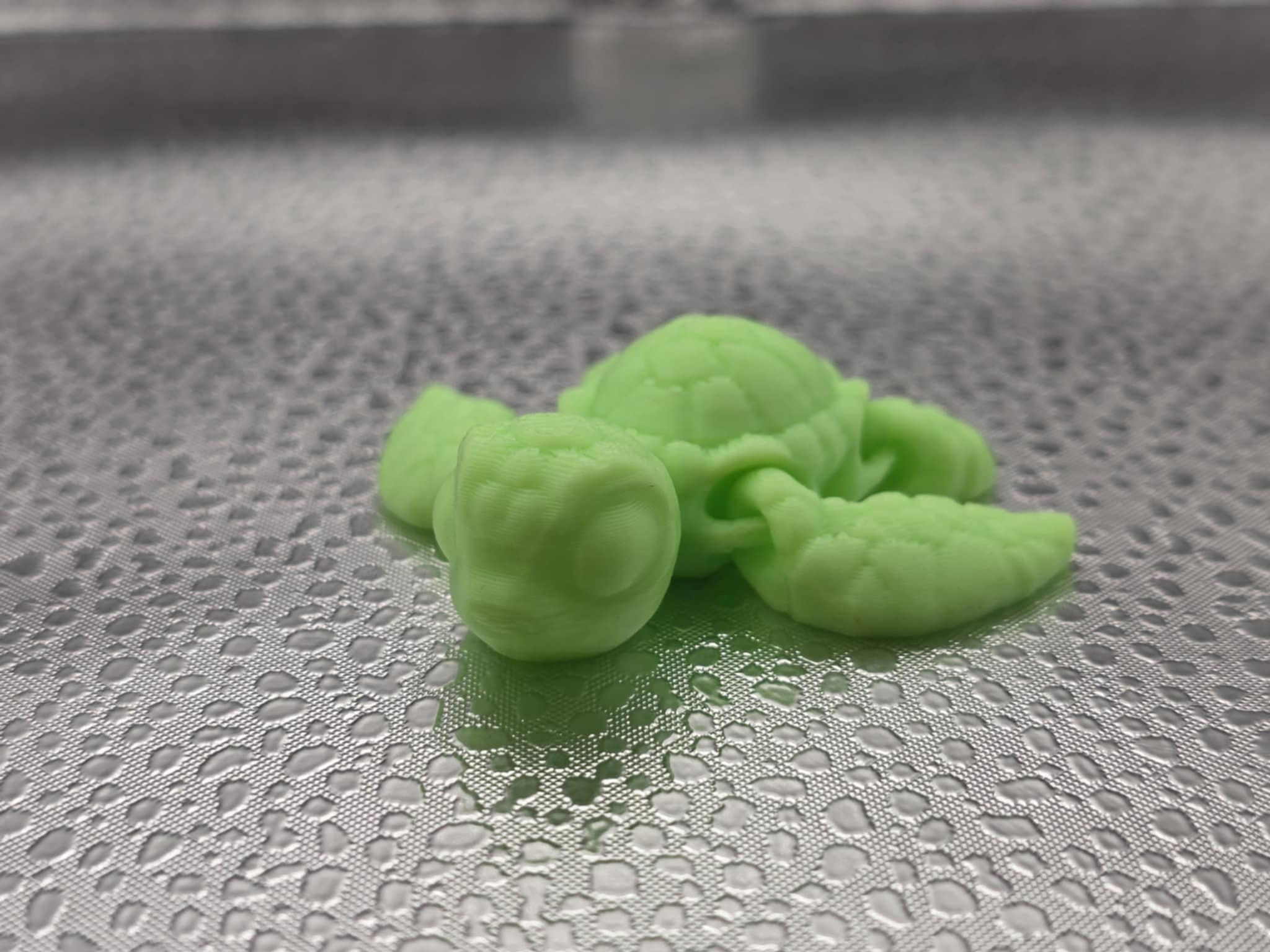 Cinderwing Hatchling - Sea Turtle