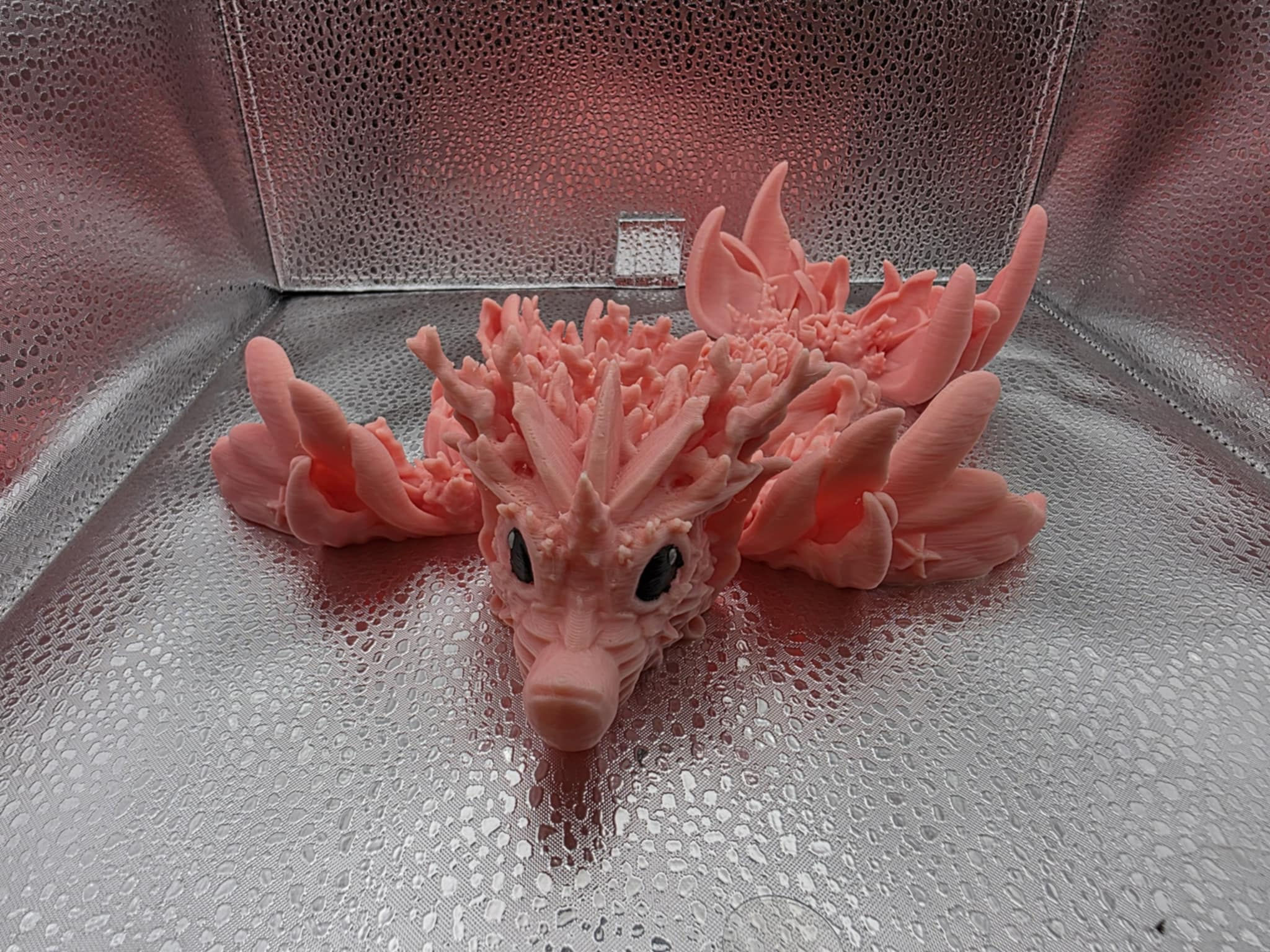 Cinderwing Baby Coral Reef Dragon 100%