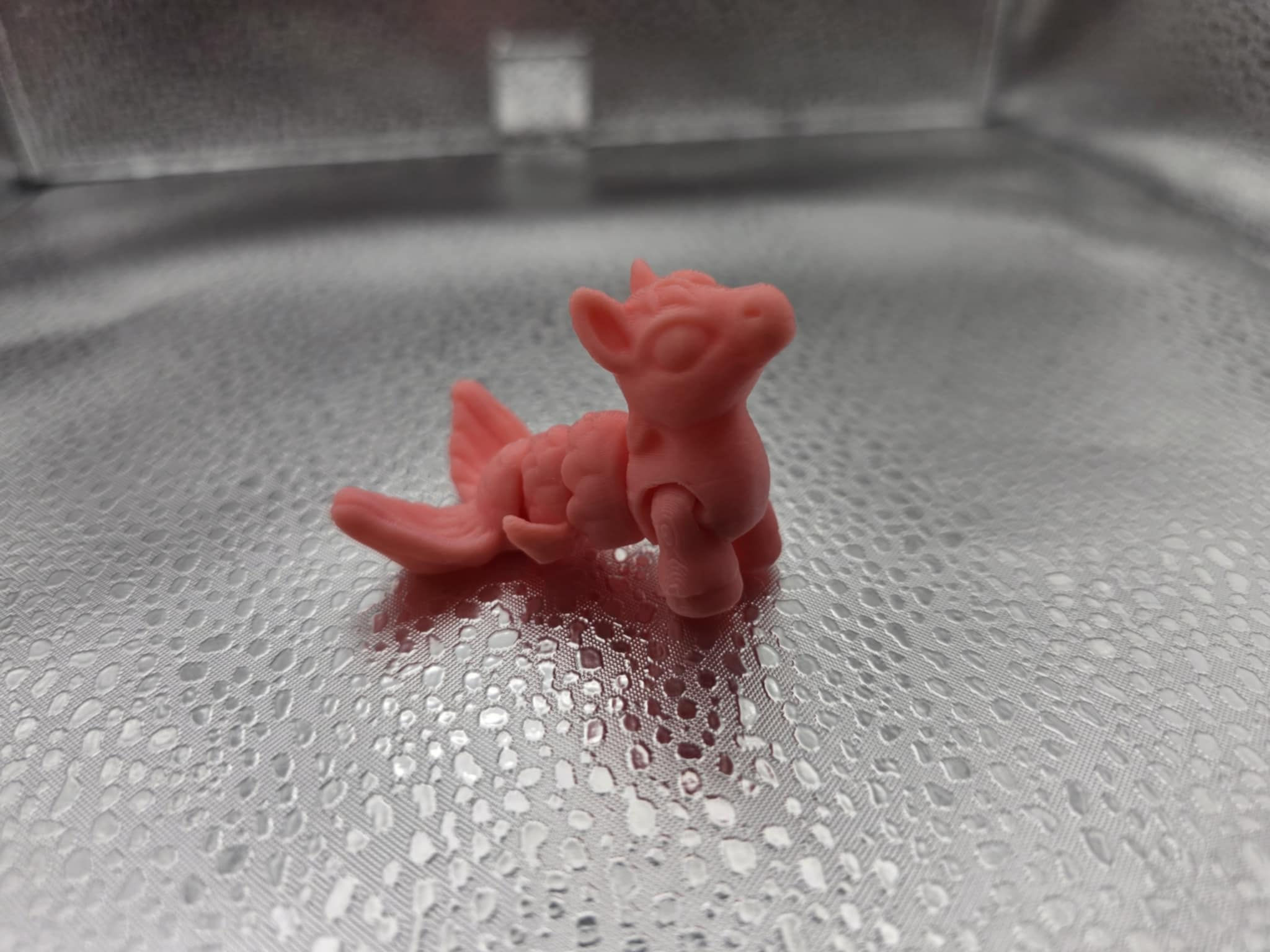 Cinderwing Hatchling - Hippocampus