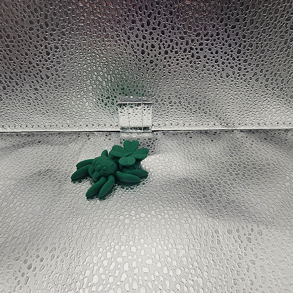 Thumbnail: Cinderwing Tiny Spider - Clover