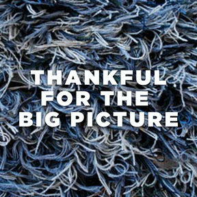Thankful Big Picture.jpg